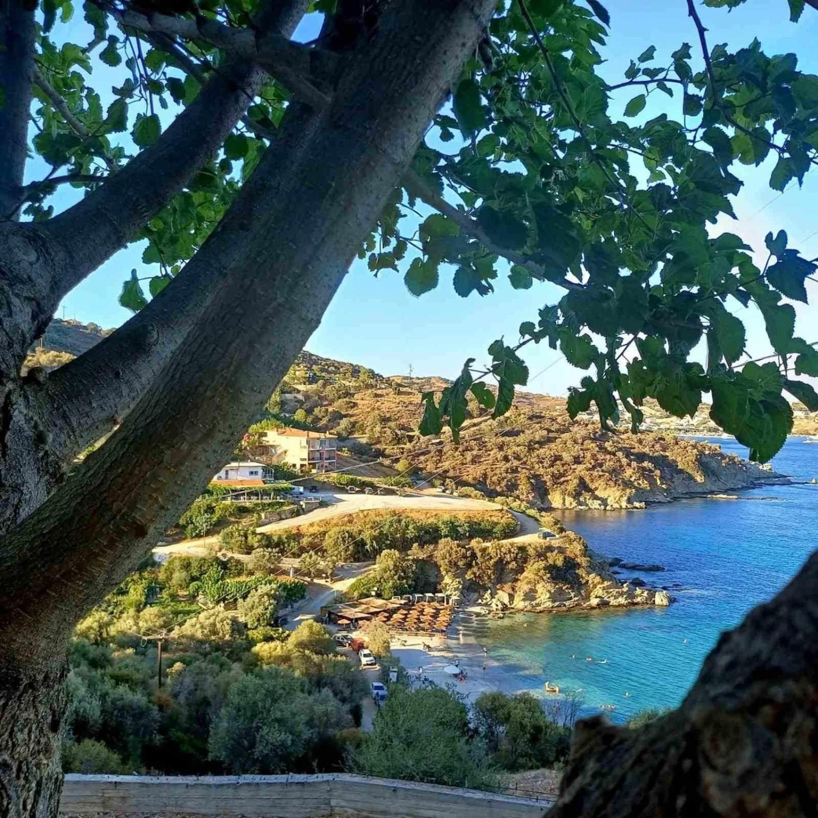 Aegean Beachfront Petriaí Kültér fotó